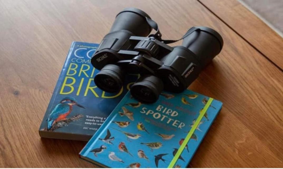 The Gull & Puffin Cresswell Villa Cresswell  Bagian luar foto